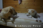 IMGP0664.JPG