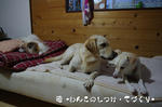 IMGP0670.JPG