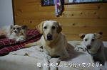 IMGP0673.JPG