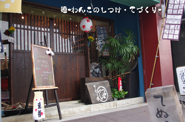 IMGP0740.JPG