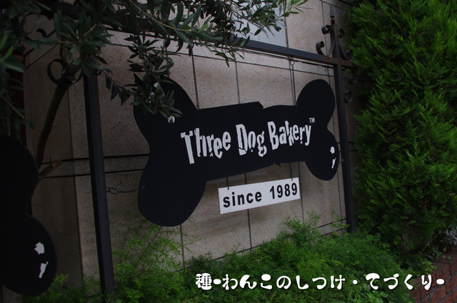 IMGP0745.JPG