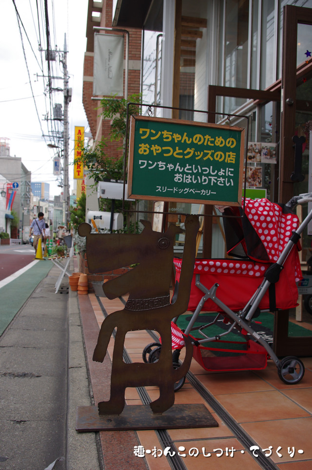 IMGP0746.JPG
