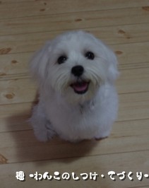 hana.jpg