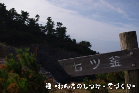 07.JPG