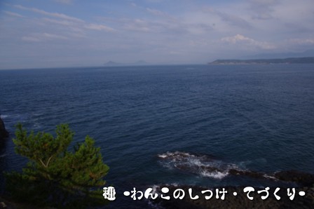 09.JPG