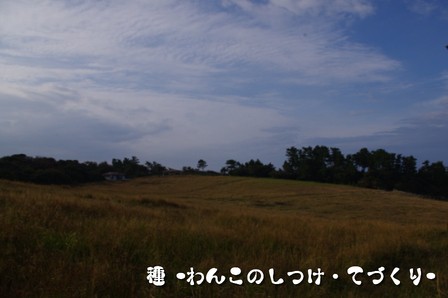 10.JPG