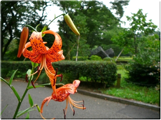 本丸の通路端にて