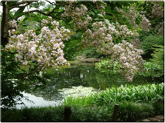 二の丸庭園