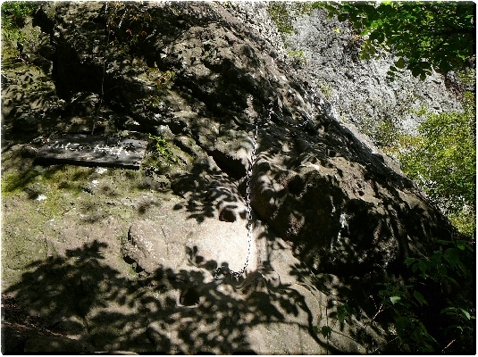 かにの横這い