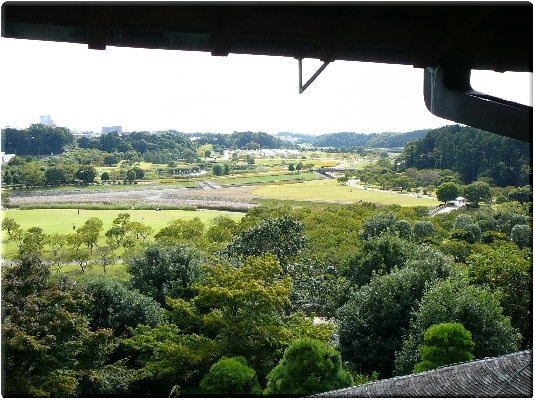 言ってみたいなぁ「うちの庭です」