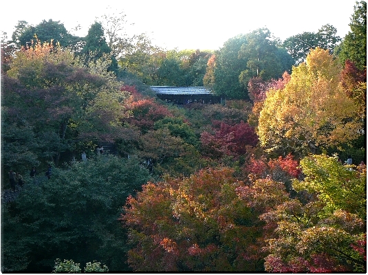 通天橋から見た臥雲橋