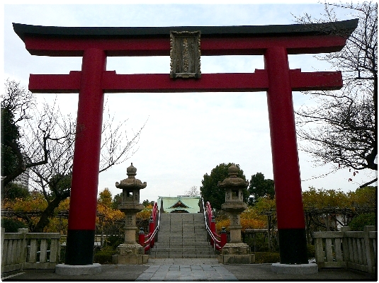 大鳥居