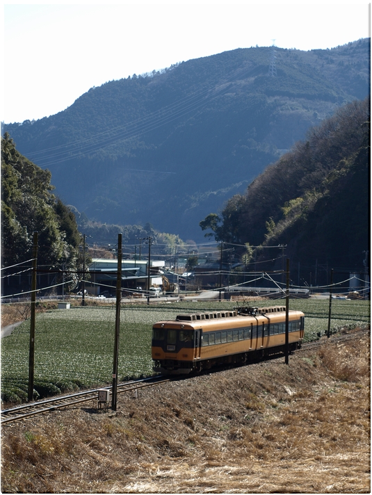 大井町線・福用お立ち台