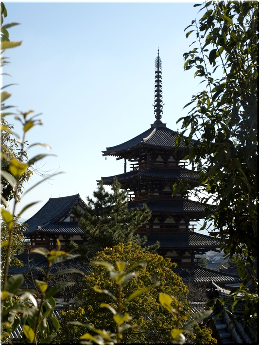五重塔&金堂