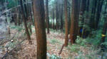 20f329df.jpg