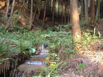 DSCF4970.jpg