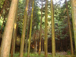 DSCF4974.jpg