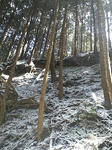f139d0b8.jpg