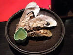 16326eb8.jpg