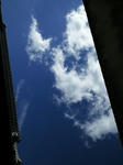 201008081503000.jpg