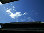 201008081504001.jpg