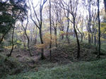 d2826584.jpg