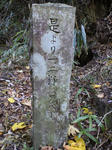 3cb3f334.jpg
