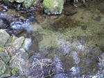 57a835f7.jpg