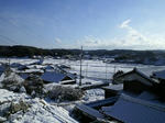 c9421651.jpg