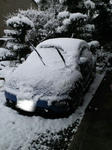 43311c62.jpg