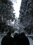 201101171405000.jpg