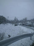 201102110829000.jpg