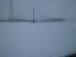 201102110828000.jpg