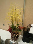 201102101913000.jpg