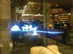 201102101934000.jpg