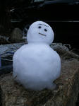 201102161650001.jpg