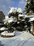 201102150739000.jpg