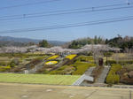 DSC00103.JPG