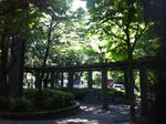 bcee0593.JPG