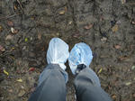 DSC00390.JPG
