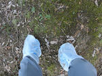 DSC00403.JPG
