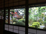IMG_8635.jpg