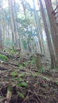 2011121112160001.jpg