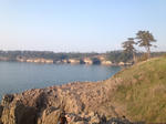 659.JPG