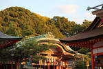 神社.jpg