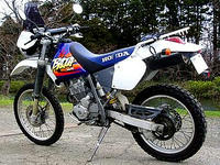 XR-BAJAの後ろからの写真