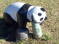 川口運動公園　パンダ
