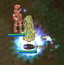 20100607_1.jpg
