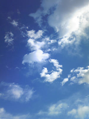 20110127_3.jpg