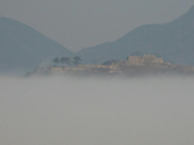 IMG_1790_1.jpg